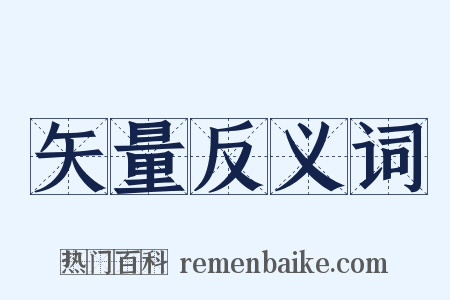 矢量反义词是什么意思的图片